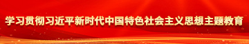 逼逼性爱视频学习贯彻习近平新时代中国特色社会主义思想主题教育